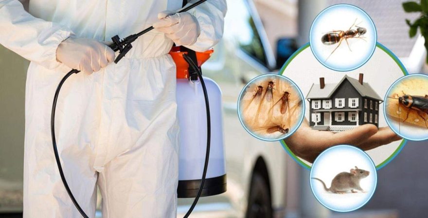 Pazarlar Böcek İlaçlama