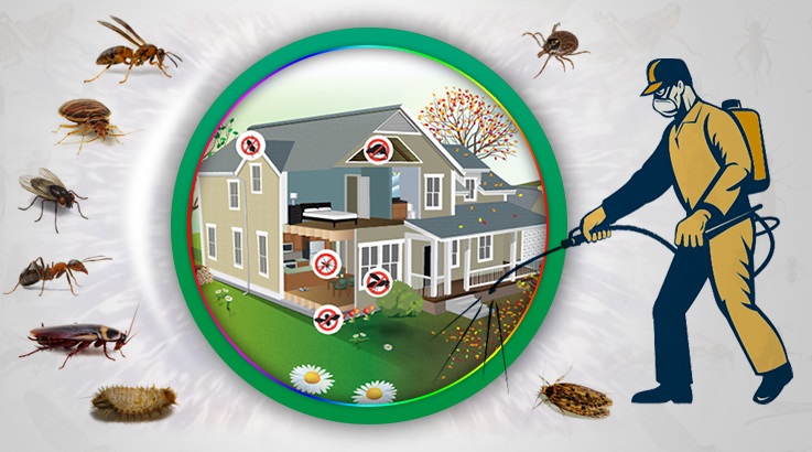 Pazarlar Böcek İlaçlama