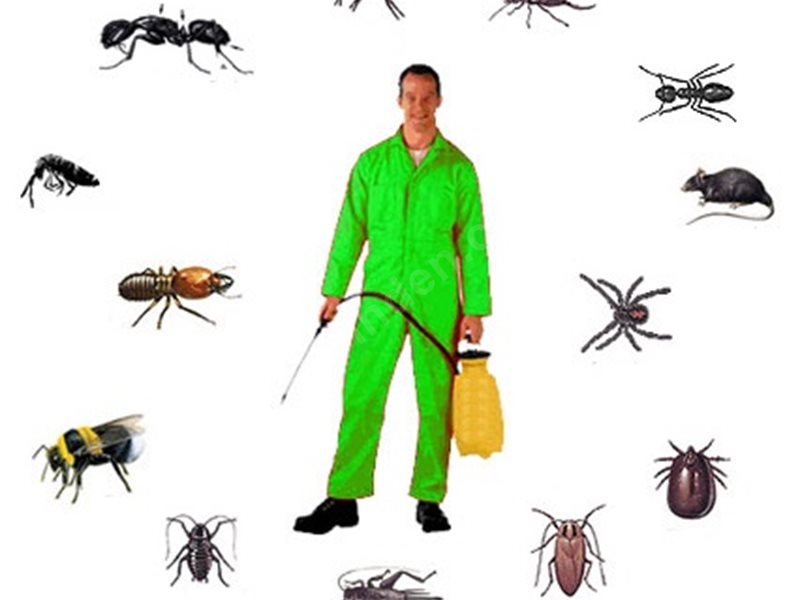 Pazarlar Böcek İlaçlama